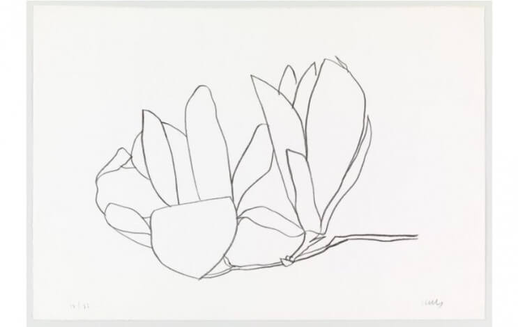 Abstraction and Nature in Ellsworth Kelly Paintings - Ideelart