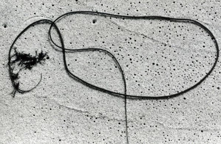 How Aaron Siskind Found Abstraction on the Streets