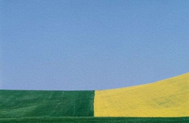 The Abstract Landscapes of Franco Fontana