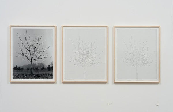 The Evolution of Art for Charles Gaines