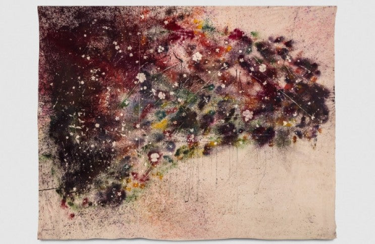 Sam Falls’ Abstract Shapes of Nature
