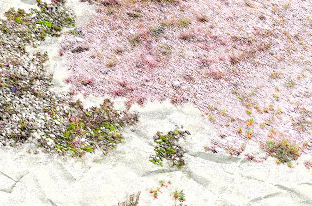 I. Anthropological Purity - Gianfranco Pezzot - Abstract Photography - Ideelart