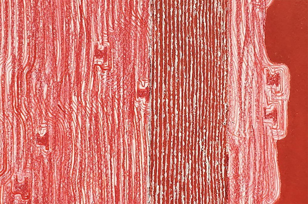 Untitled (Id. 1282) - Fieroza Doorsen - Abstract Painting - Ideelart