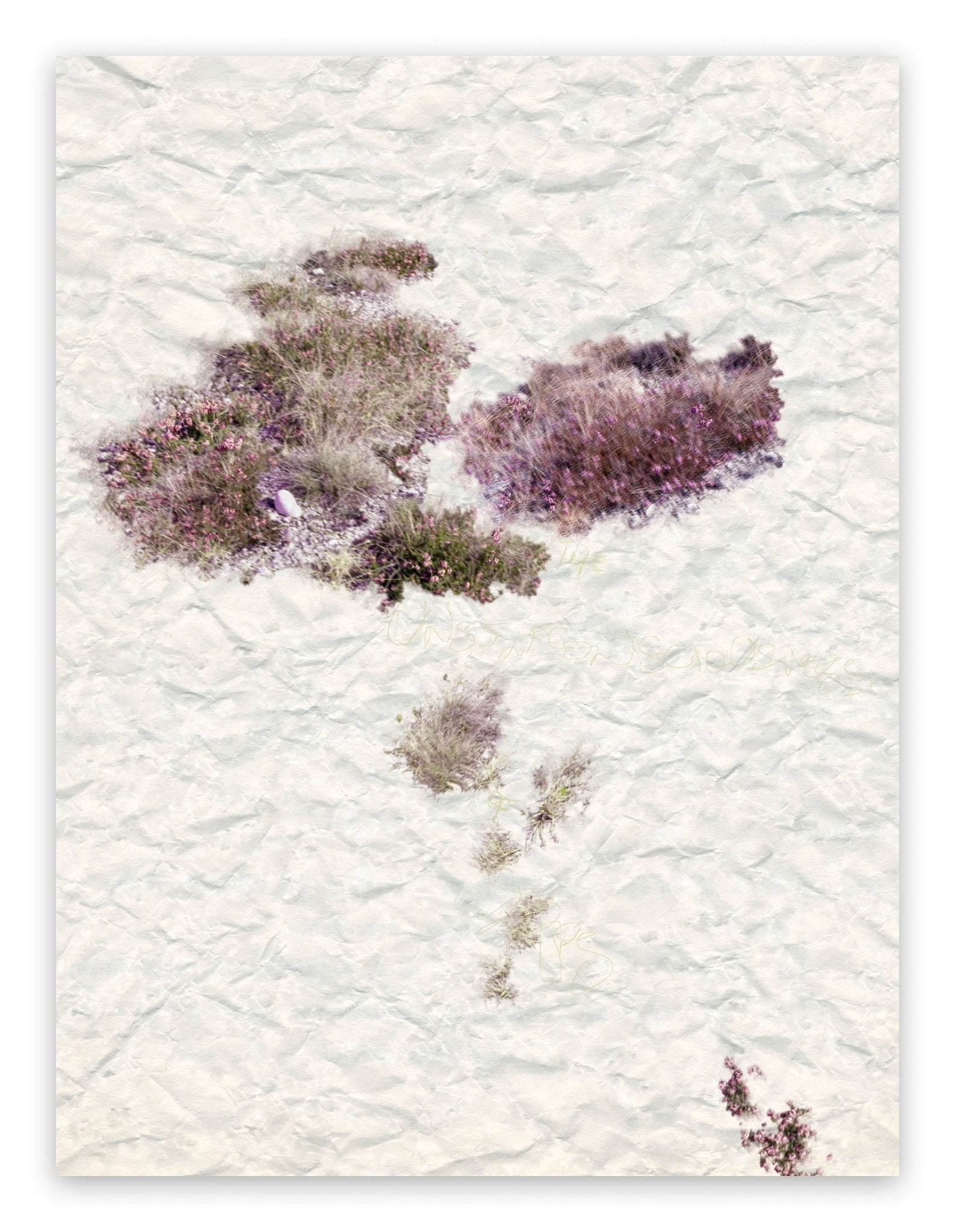 VIII: The Unselfconsciousness Of Eros - Gianfranco Pezzot - Abstract Photography - Ideelart