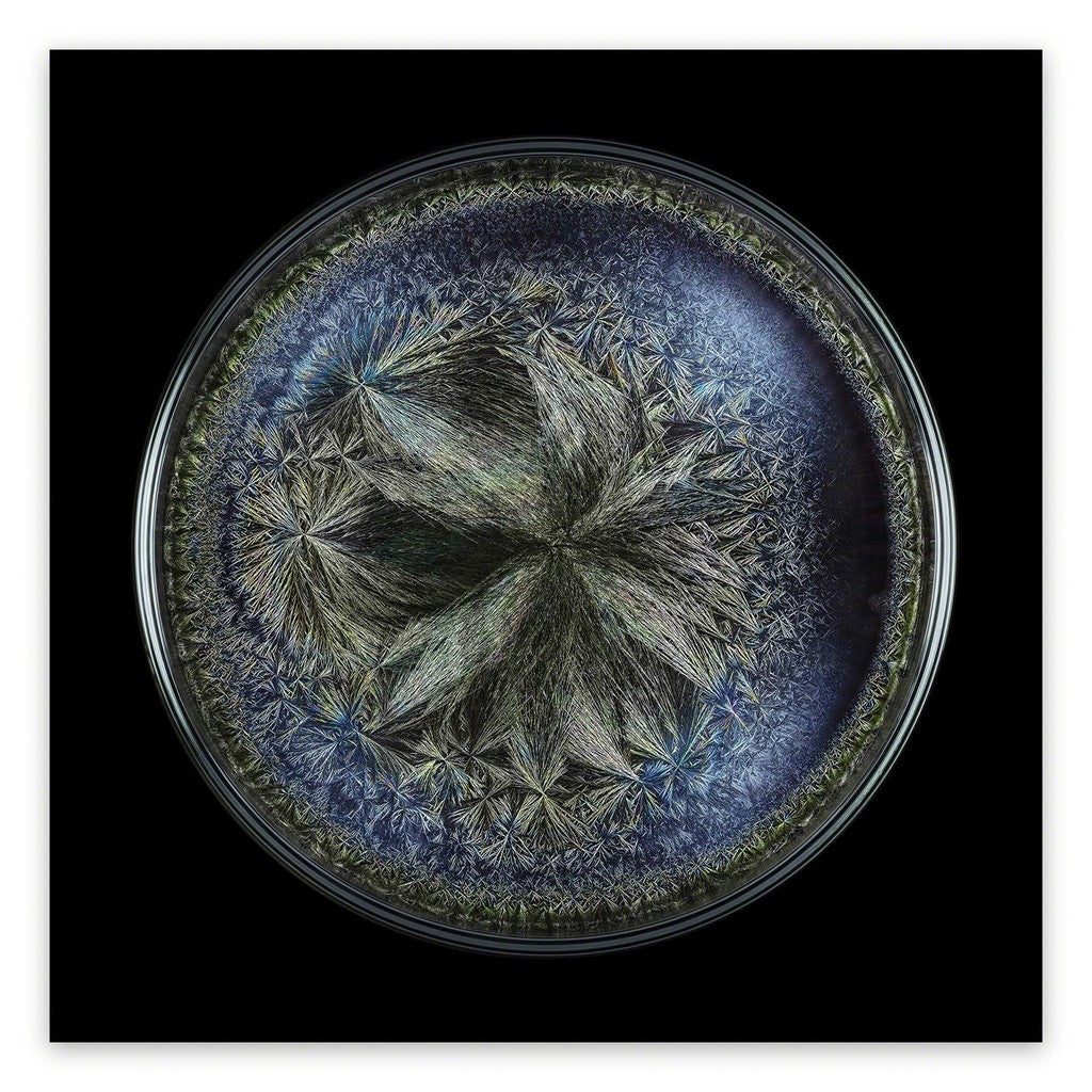 Morphogenetic Field - Beluga caviar - Seb Janiak - Abstract Photography - Ideelart