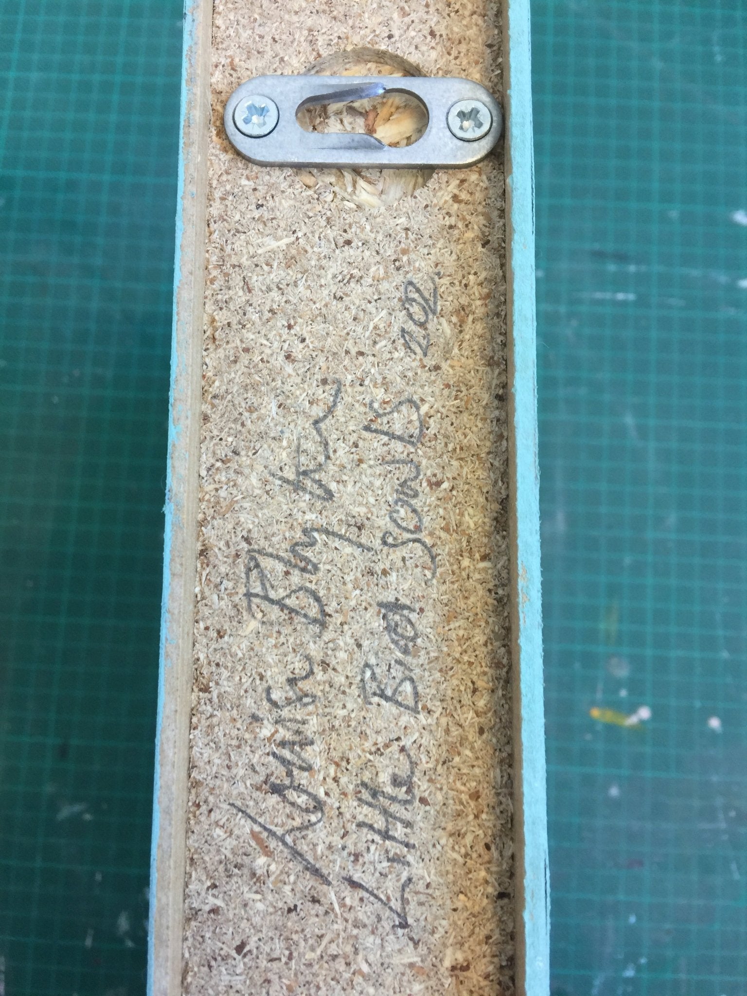 Little Bird Souls - Louise Blyton - Abstract Painting - Ideelart