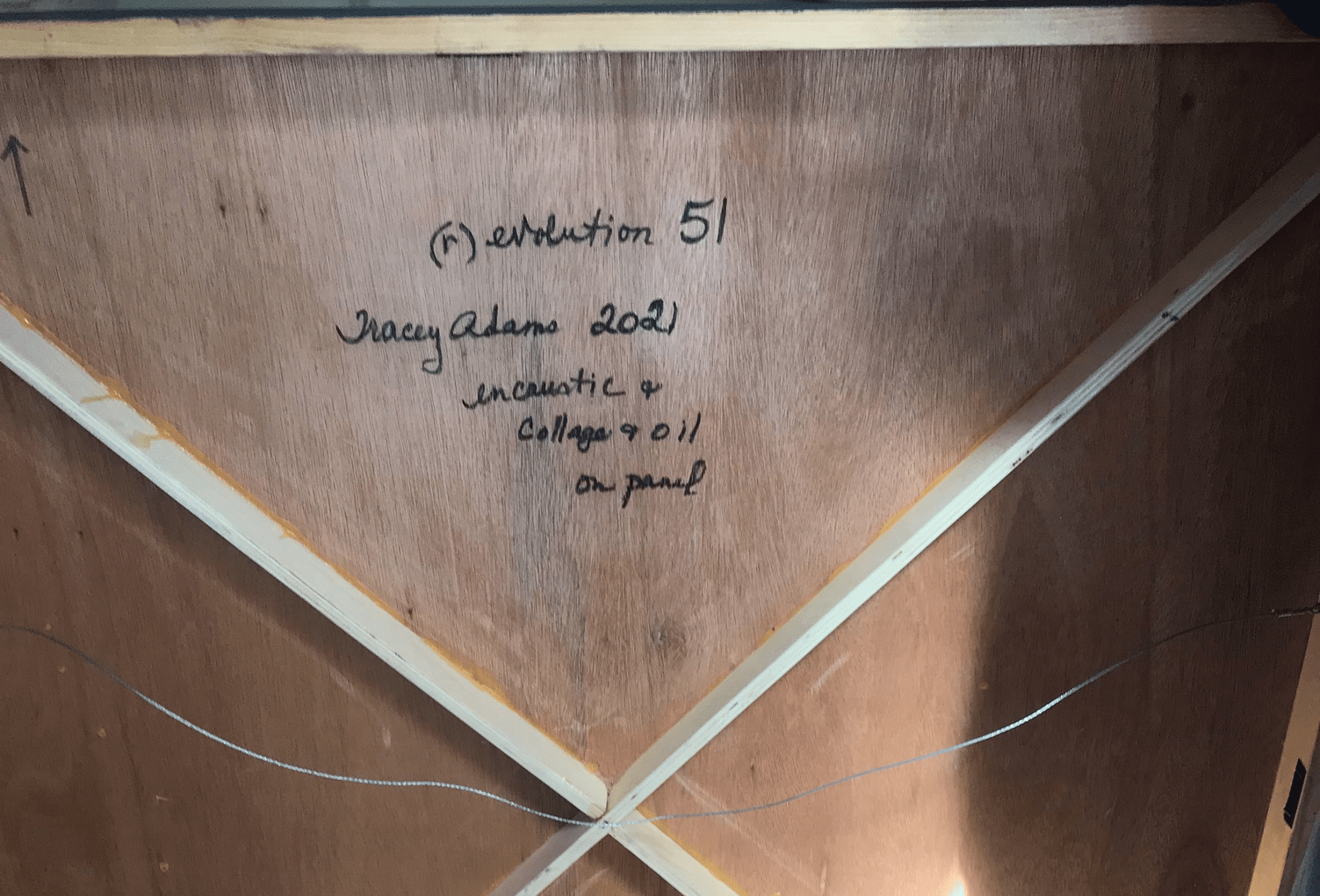 (r) evolution 51 - Tracey Adams - Abstract Painting - Ideelart