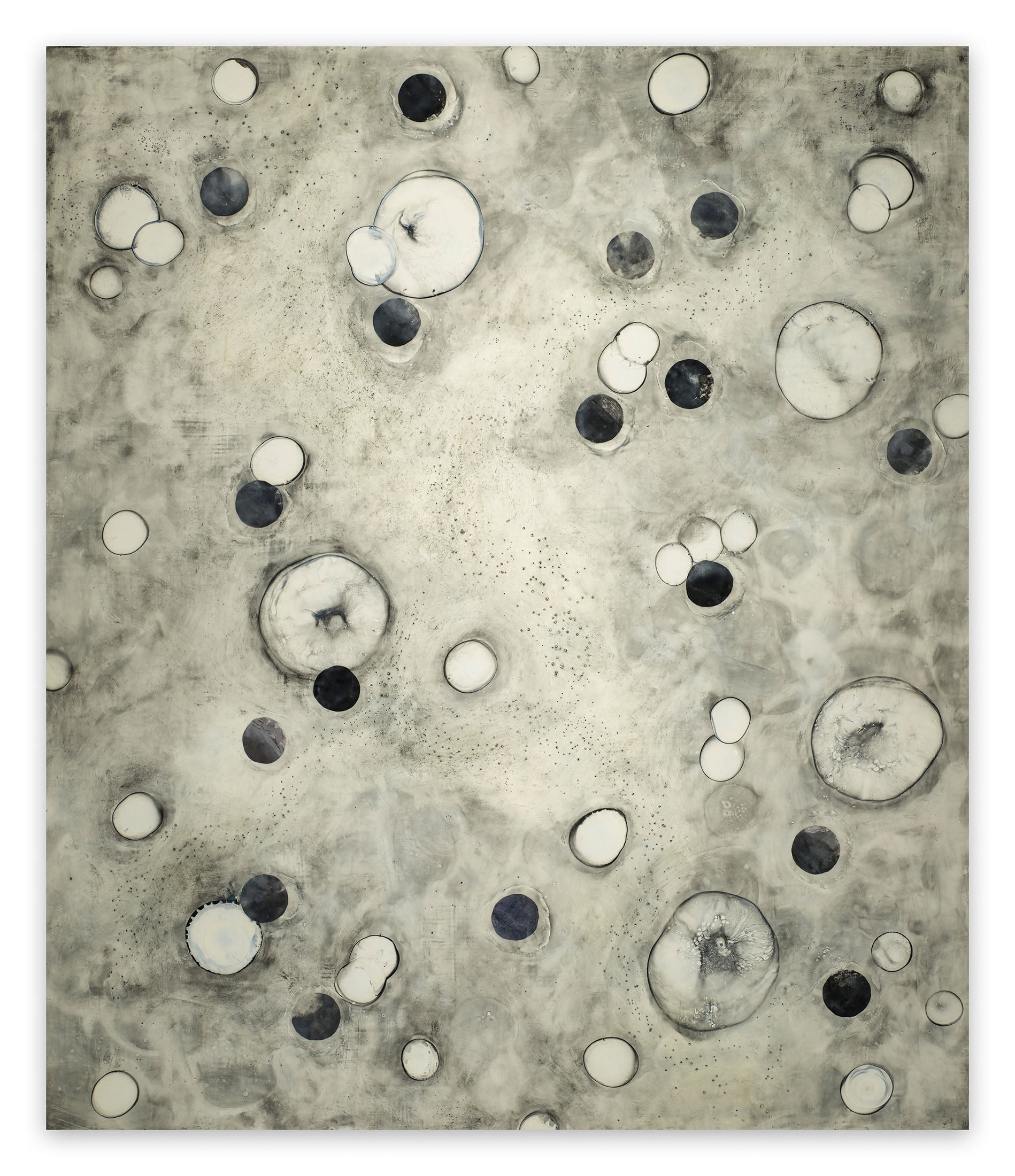 (r) evolution 28