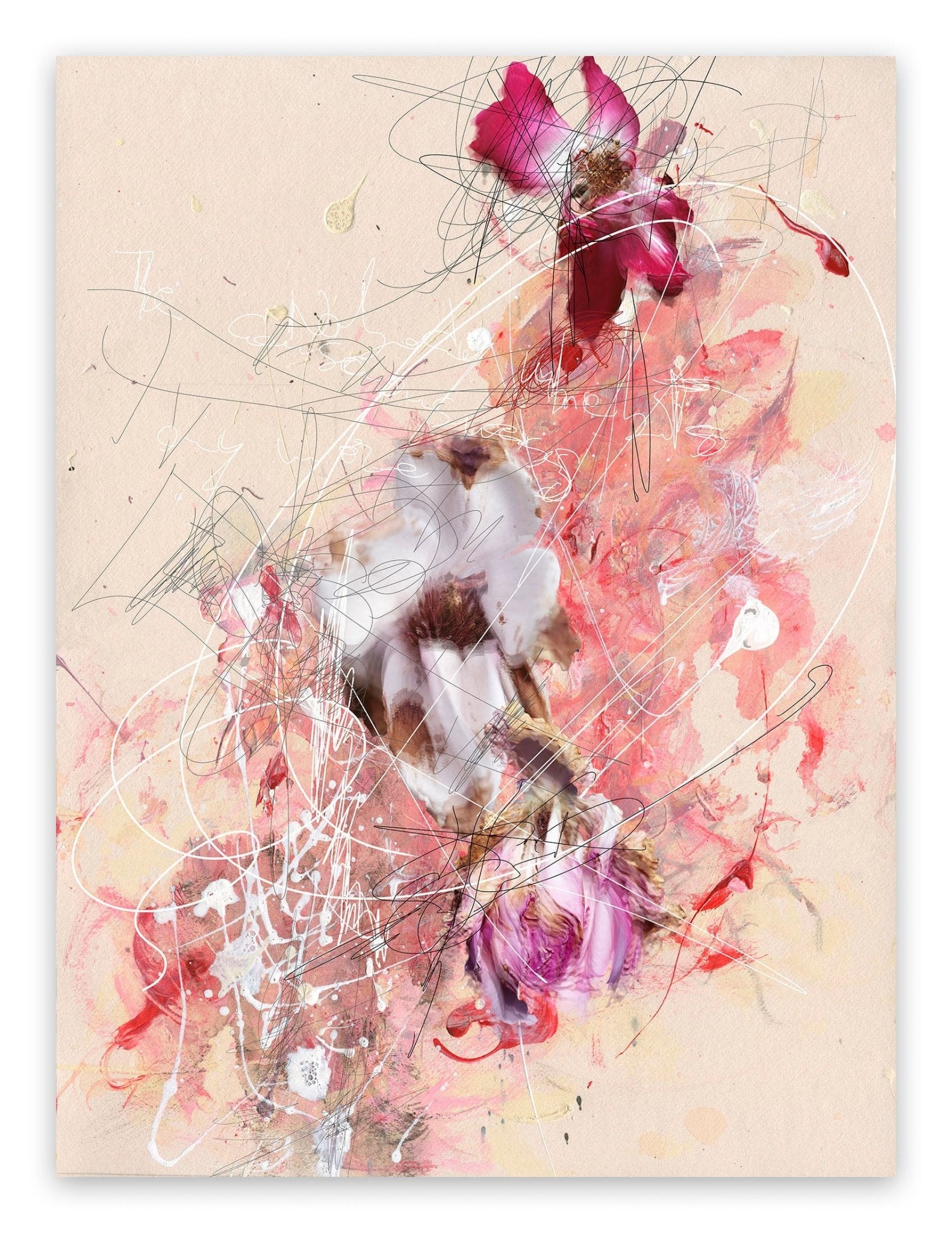 Panel C - Brutality of Creation - Gianfranco Pezzot - Abstract Photography - Ideelart