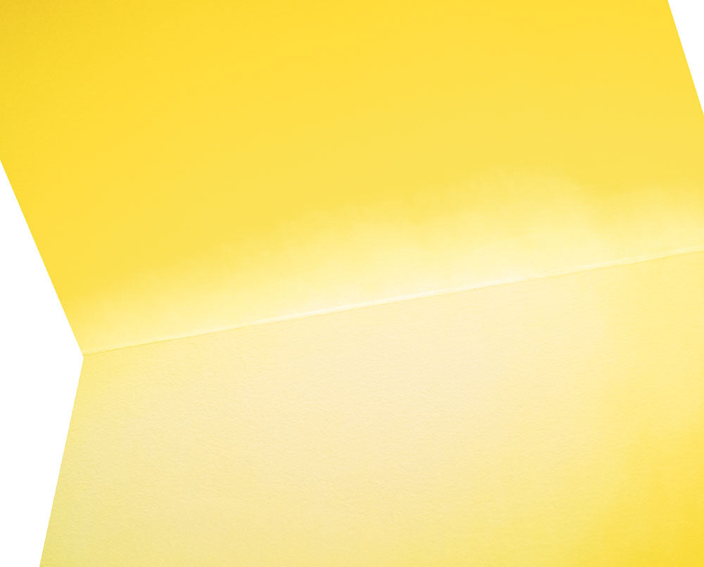 Color Kinesthesia 5B39 - Yellow