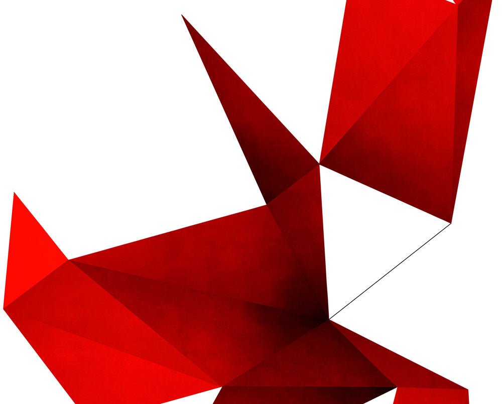 Universals Foldouts 07022012 Red - Anne Katrine Senstad - Abstract Photography - Ideelart