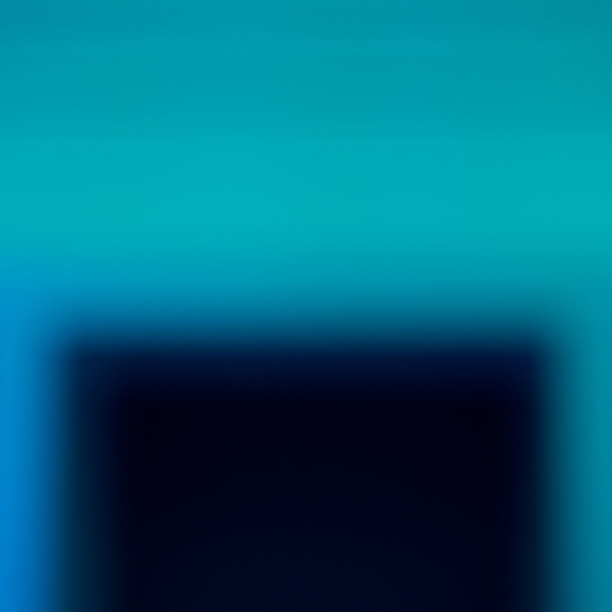Untitled, 8AJ_2946