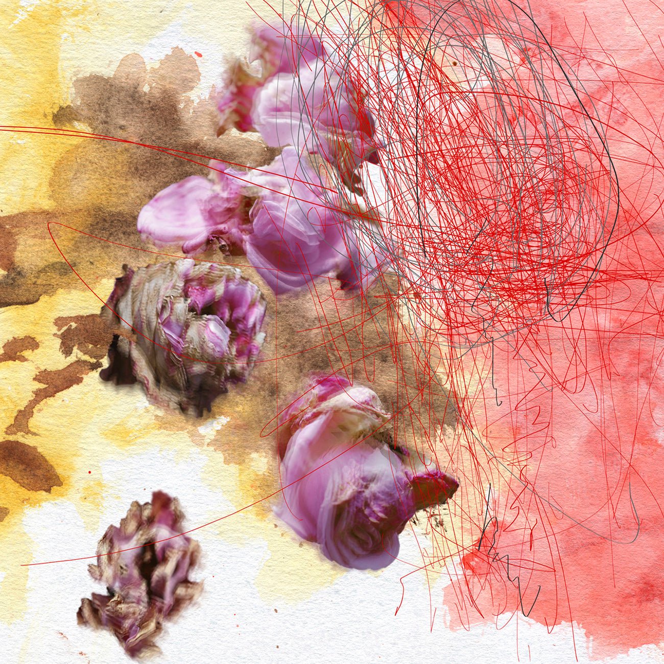 Cosa Mentale - Gianfranco Pezzot - Abstract Photography - Ideelart