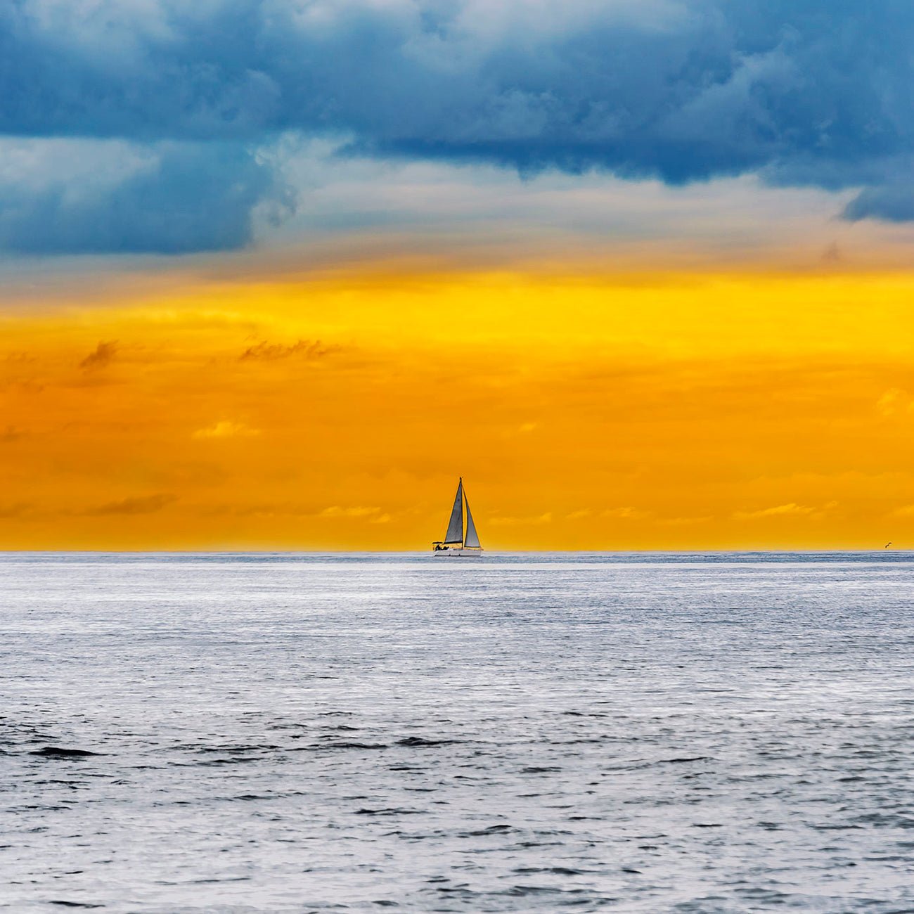 Temporal Perception 36 (Diptych) - Serge Hamad - Abstract Photography - Ideelart