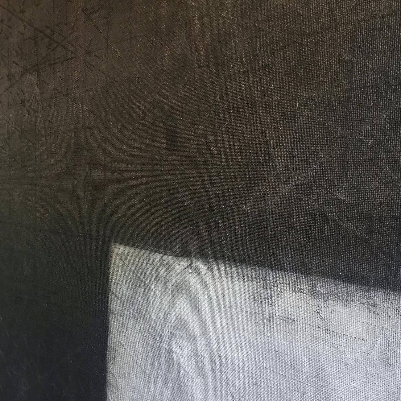 XX 10161