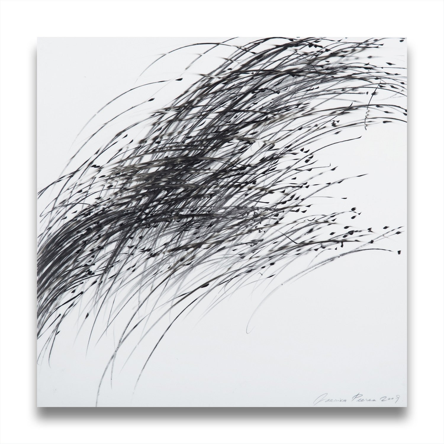 Storm Series (Ref 844)