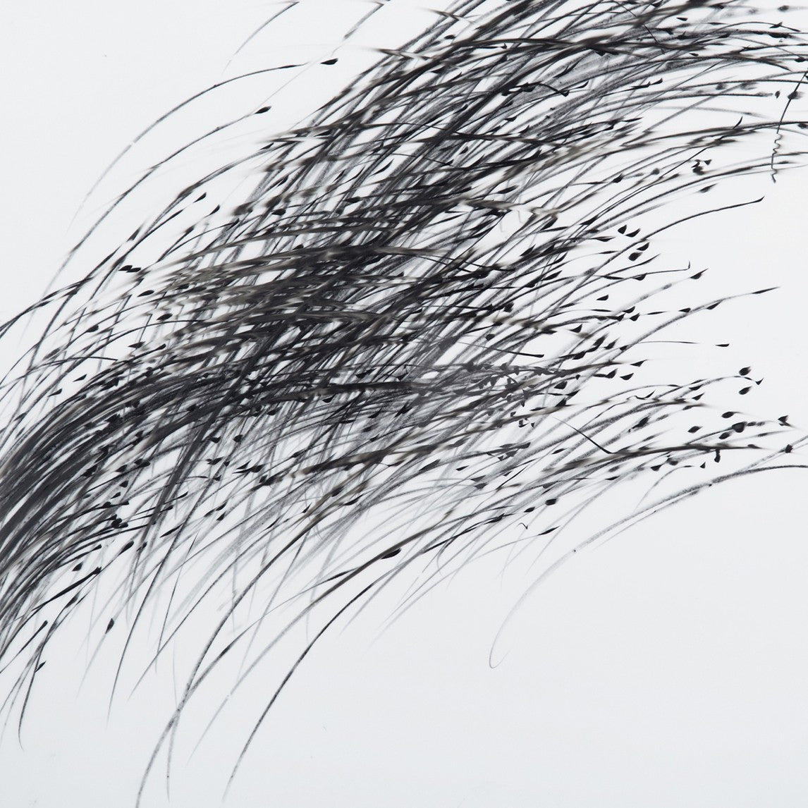 Storm Series (Ref 844)
