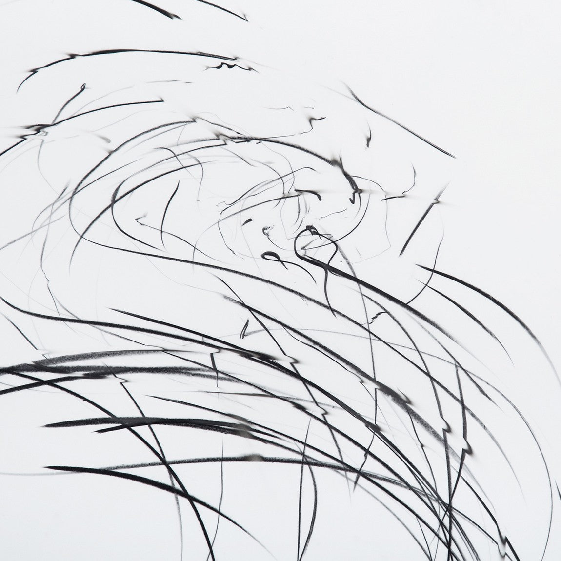 Storm Series (Ref 845)