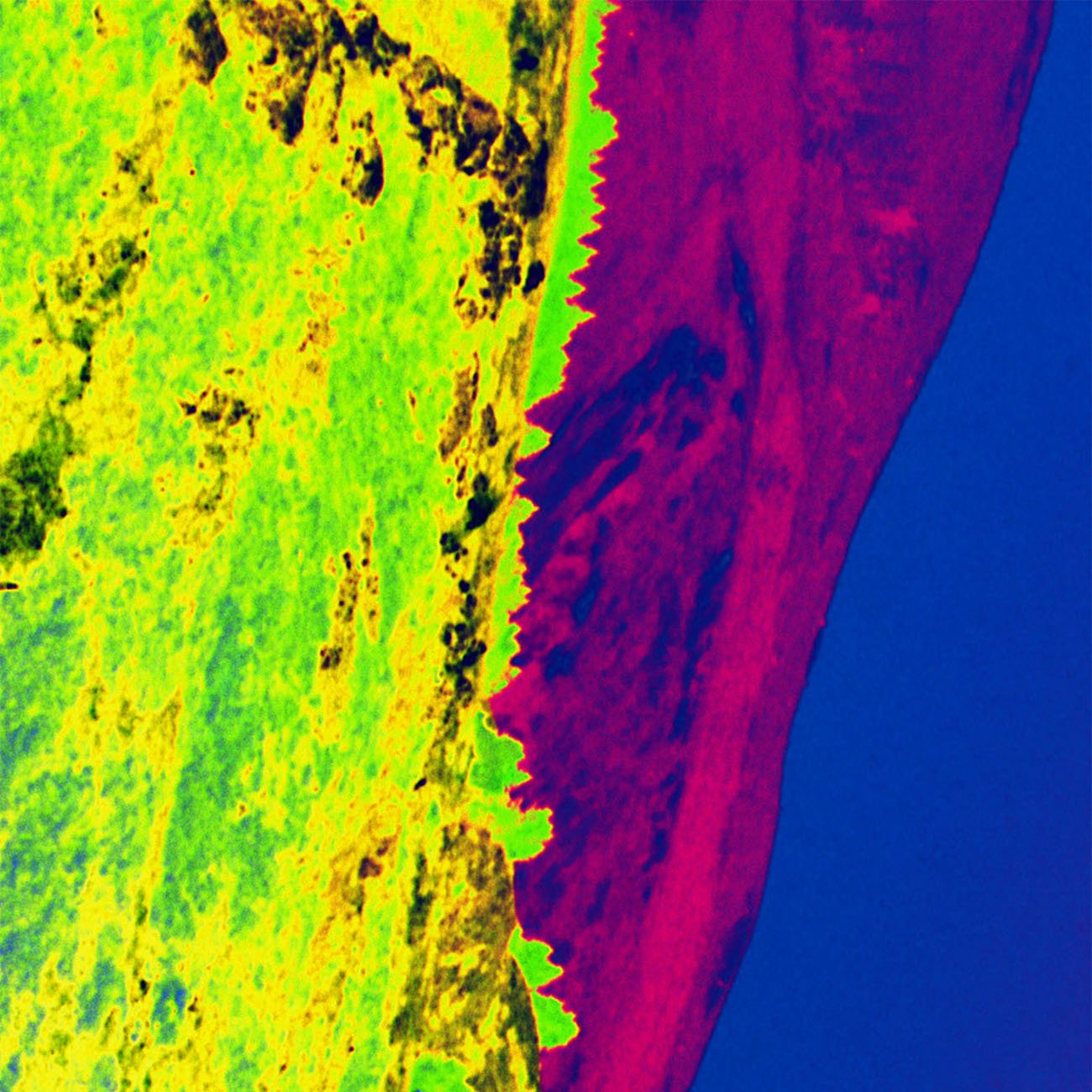 Fields of the Sun 167 - Jason Engelund - Abstract Photography - Ideelart