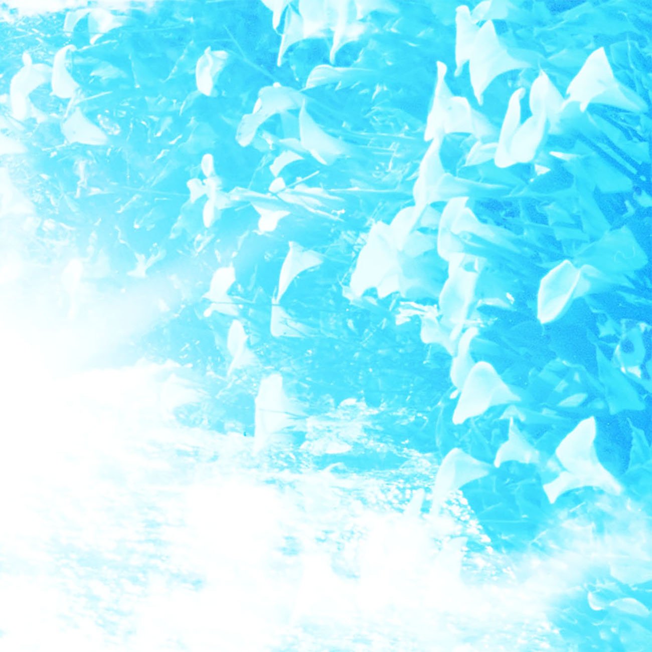 Fields of the Sun, 29 - Jason Engelund - Abstract Photography - Ideelart