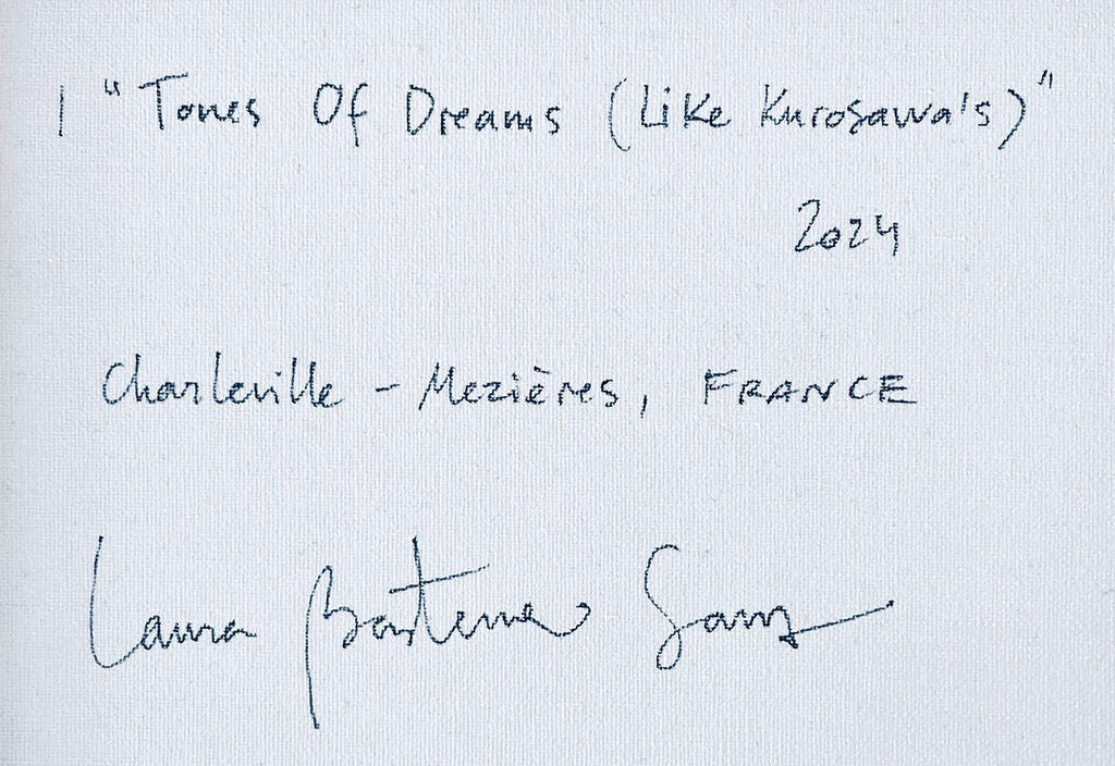 Tons Of Dreams (Like Kurosawa's) - Laura Basterra Sanz - Abstract Painting - Ideelart