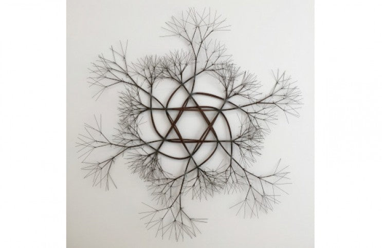 Ruth Asawa’s Hanging Odes to Natural Forms