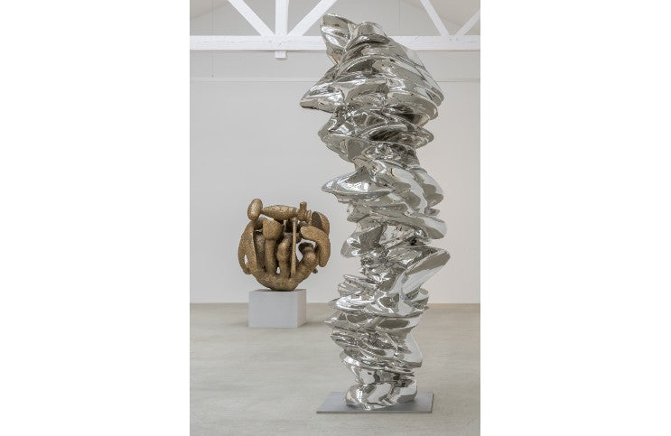 Following The Curves of Tony Cragg's Sculpture