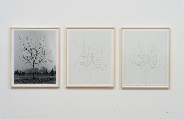 The Evolution of Art for Charles Gaines - Ideelart