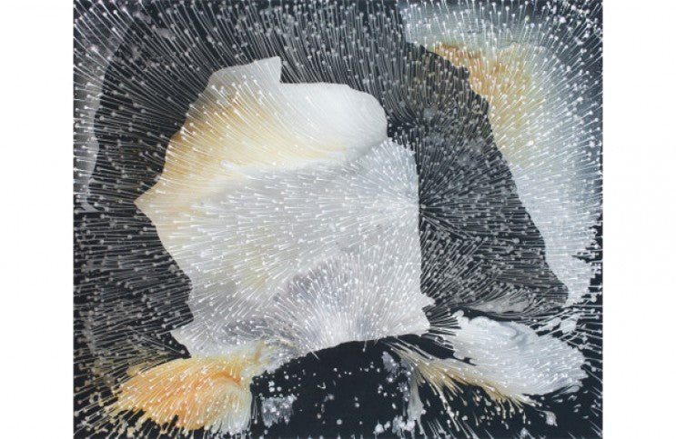 Barbara Takenaga's Fluctuations of Space - Ideelart