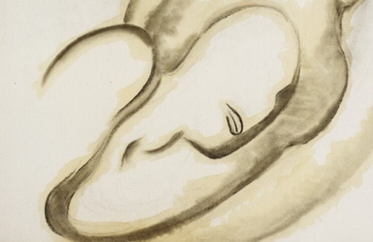 女性の姿を再定義した抽象画