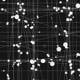 Tenesh Webber - Ideelart