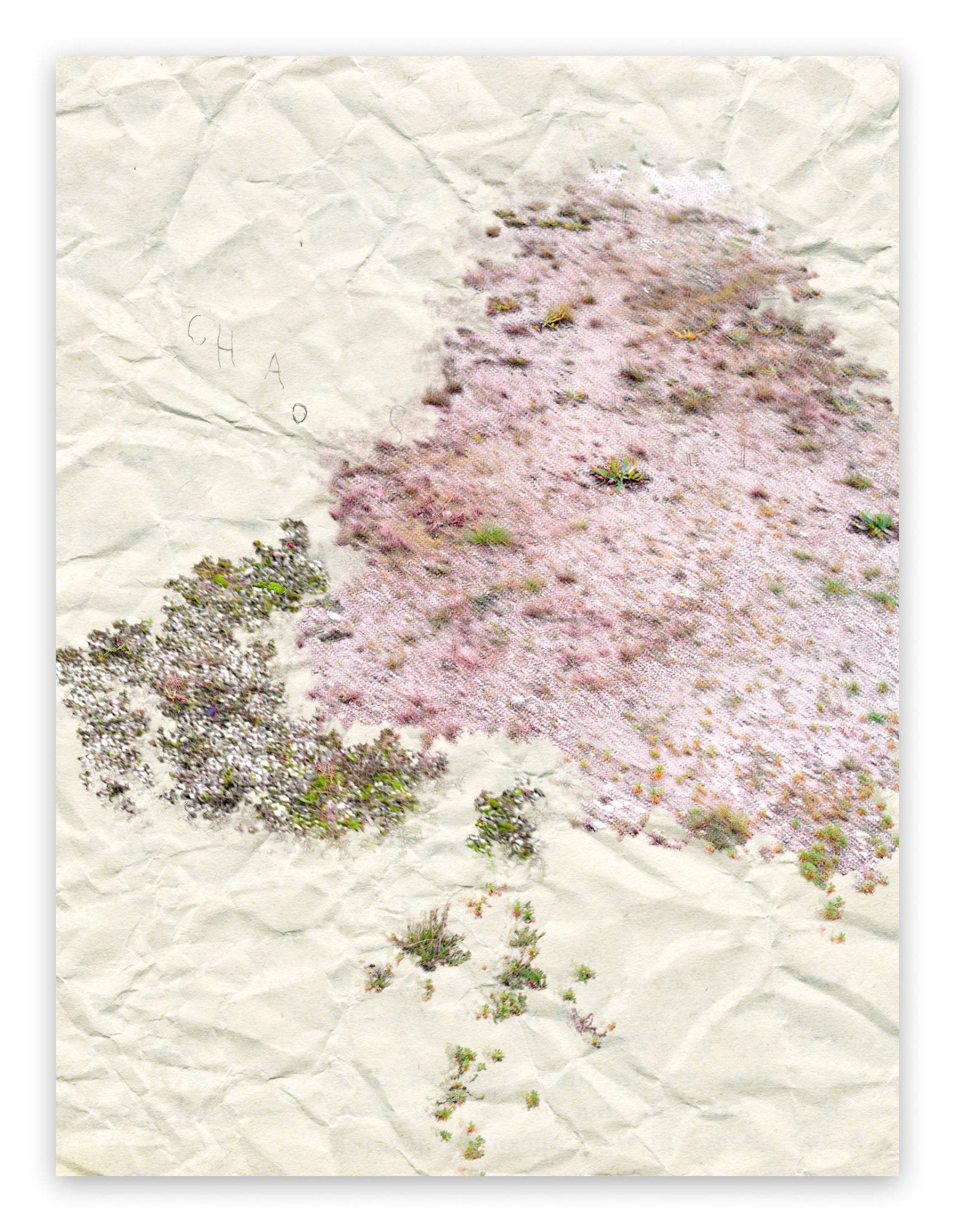 I. Anthropological Purity - Gianfranco Pezzot - Abstract Photography - Ideelart