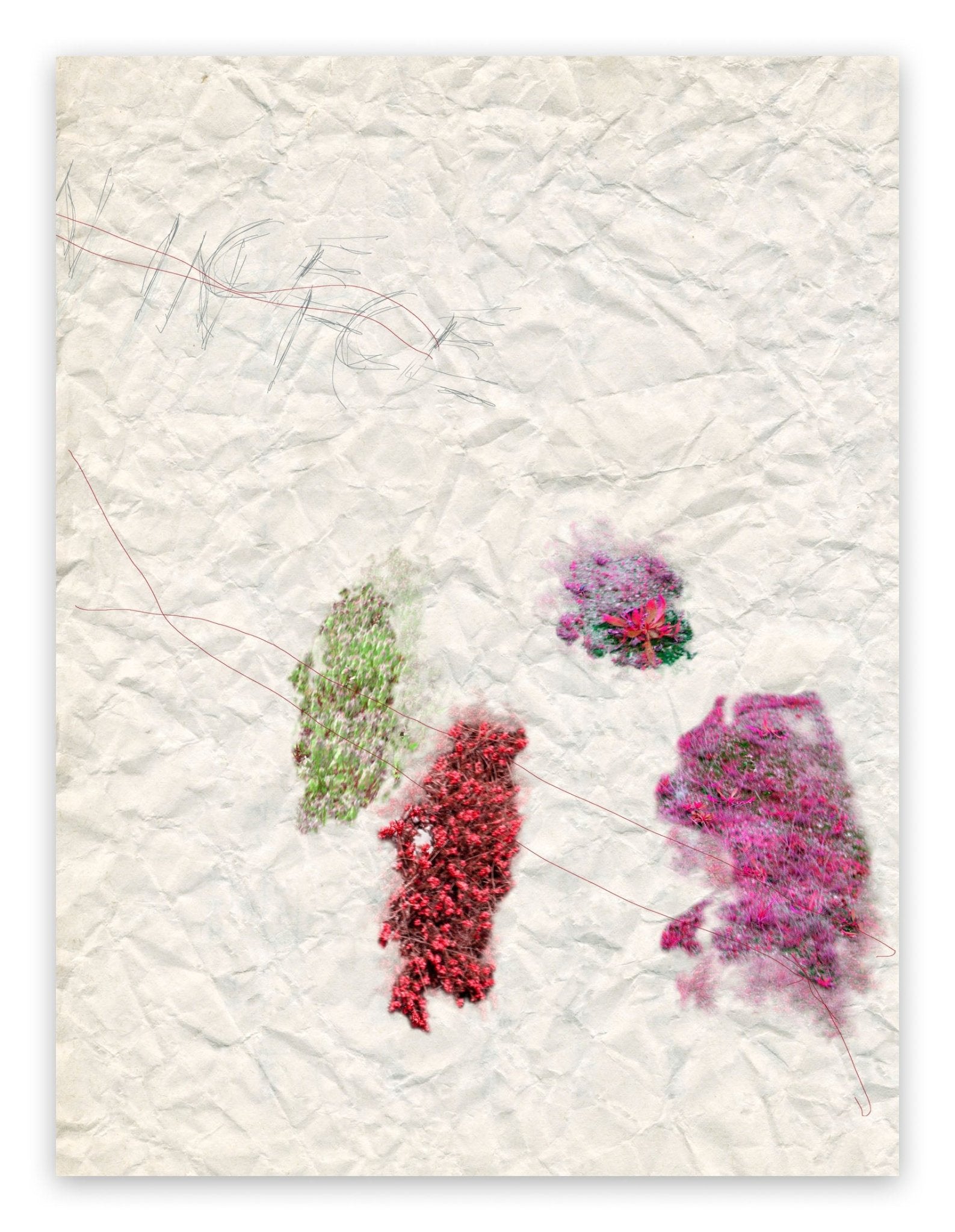 IV. Nice - Gianfranco Pezzot - Abstract Photography - Ideelart