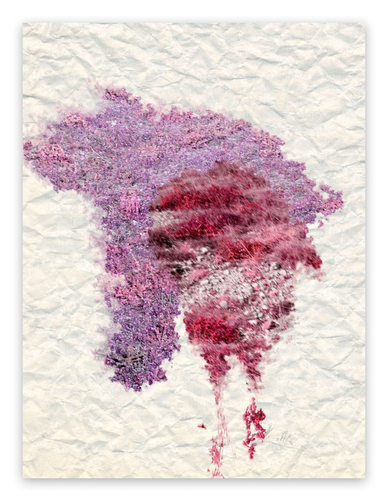 IX: Genesi - Gianfranco Pezzot - Abstract Photography - Ideelart