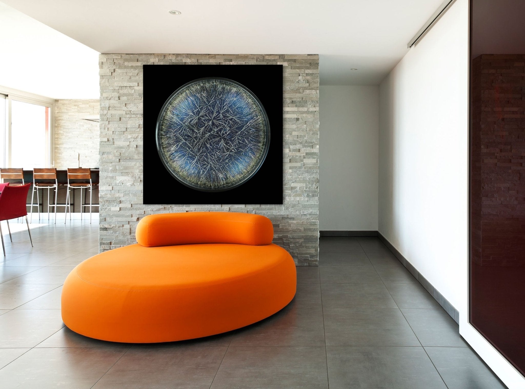 Morphogenetic Field - Dandelion (Pissenlit) - Seb Janiak - Abstract Photography - Ideelart