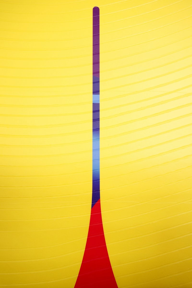 Abricot Sang de boeuf Bouton d’or  Conquistador - by Jerome Tham Vo My - Abstract Mixed Media - Ideelart