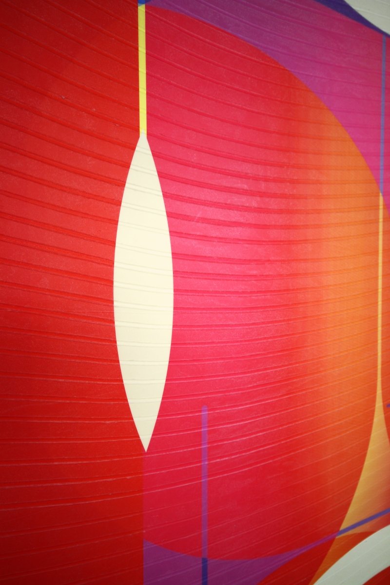 Coq de roche Evêque Coquelicot  Doux comme un Agneau - by Jerome Tham Vo My - Abstract Mixed Media - Ideelart