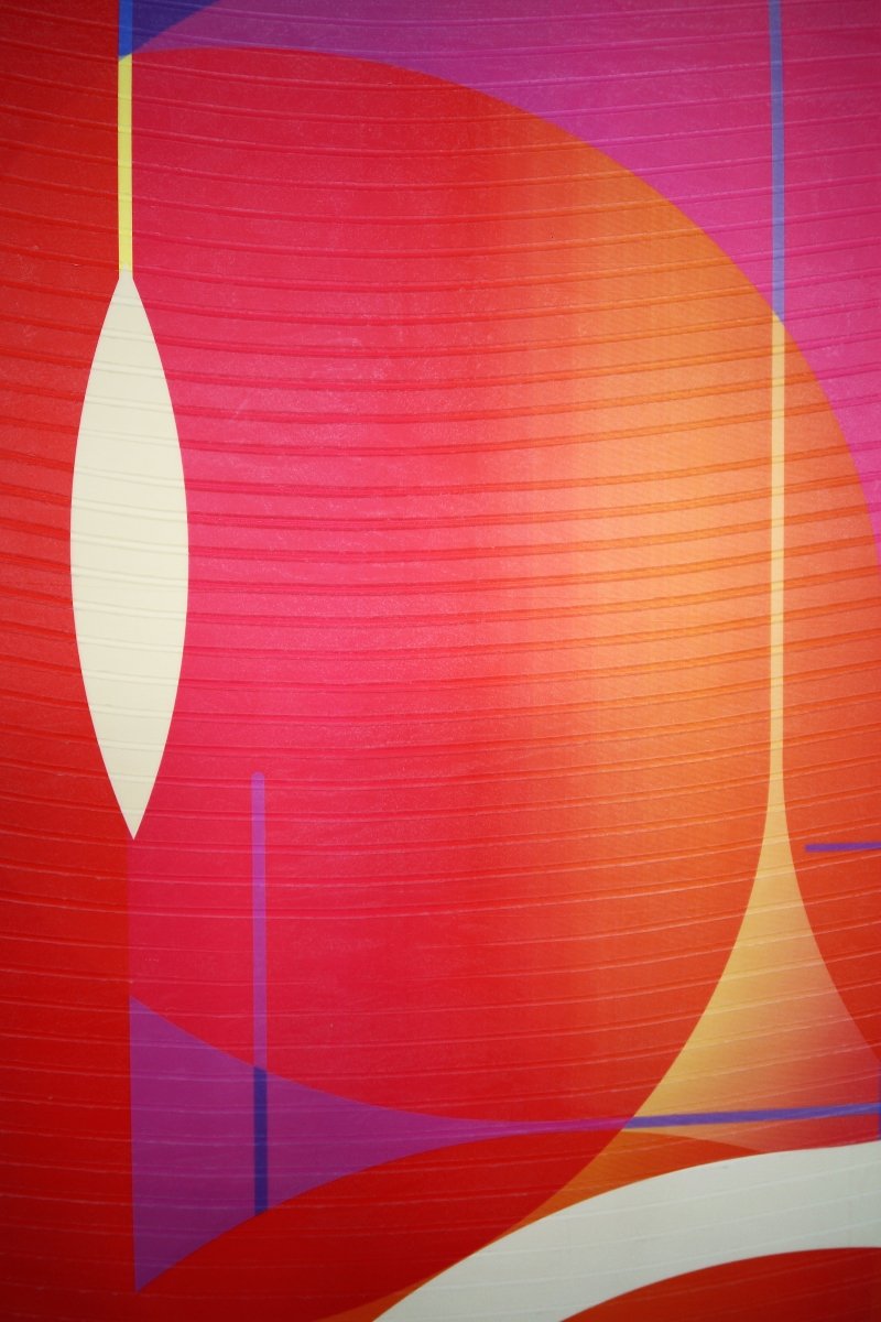 Coq de roche Evêque Coquelicot  Doux comme un Agneau - by Jerome Tham Vo My - Abstract Mixed Media - Ideelart