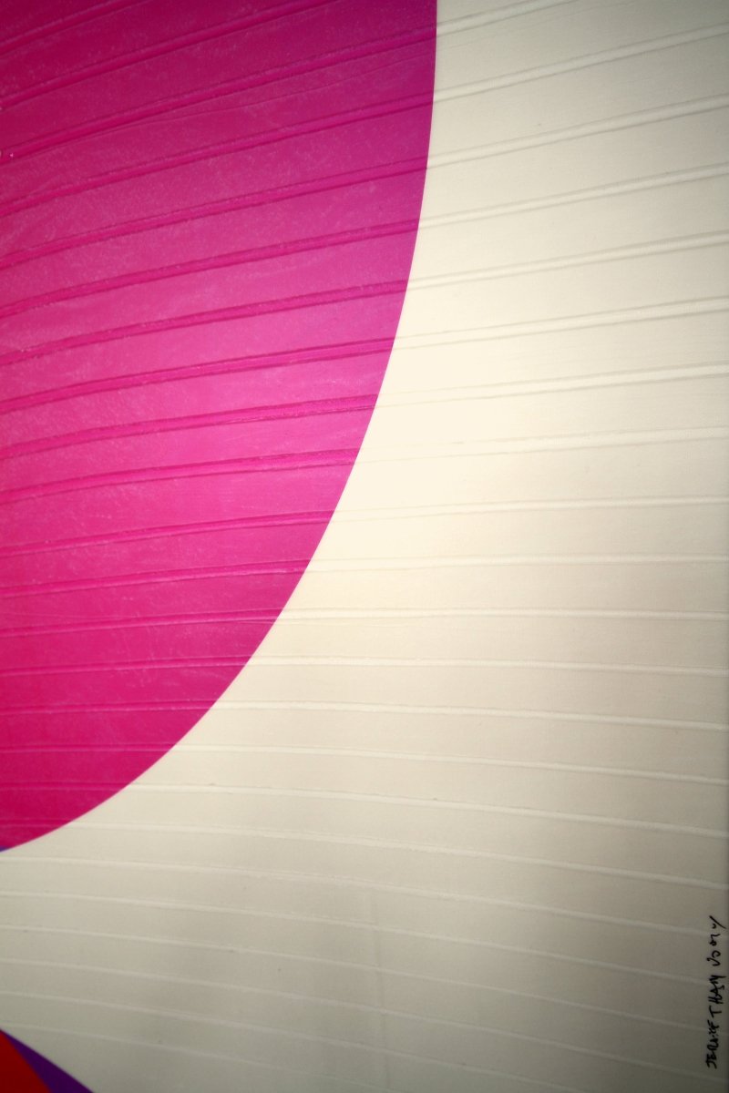 Coq de roche Evêque Coquelicot  Doux comme un Agneau - by Jerome Tham Vo My - Abstract Mixed Media - Ideelart