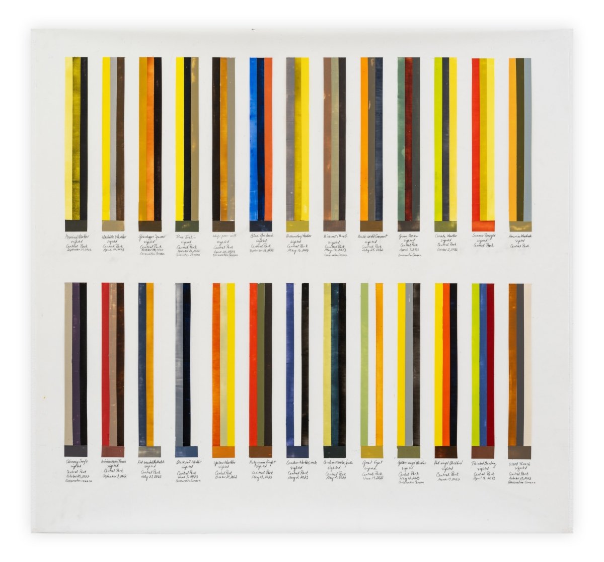 Migration Chart - 26 birds - by Debra Ramsay - Abstract Painting - Ideelart